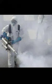 سمپاشی سوسک سم پاشی ساس،موش ،تضمینی صددرصد