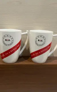 دو عدد ماگ