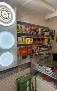 الکتریکی نورا فردیس