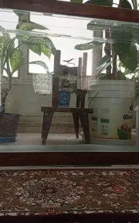آکواریوم شیشه خم اندازه 90/30