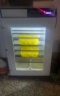 فروش دستگاه جوجه کشی هدایت