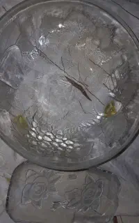 ظرف کریستال ظرف گل رز و ظرف قدیمی