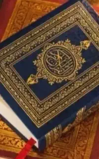 سرکتاب هاشم