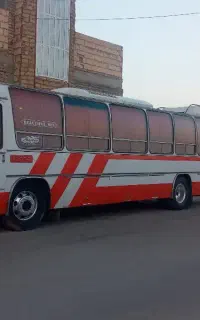 اتوبوس ۳۰۲
