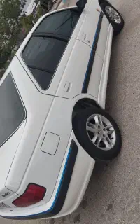 پارس سفیدبی رنگ