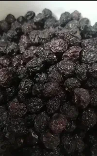خشکبار
