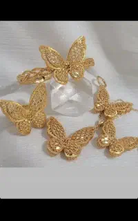 سرویس پروانه شیک وکاملانونو