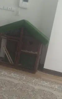 قفس پرنده
