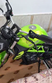 بنللی ۳۰۰ خشک سند کارتکس