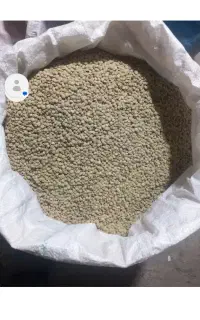 عدس درجه یک دیم الک شده