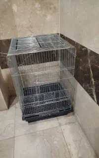 قفس