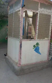 بوفه مدرسه
