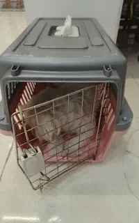 باکس و سینی ادرار پت