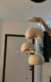 لوستر راگبل پاپیه ماشه