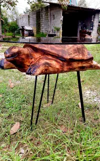 لاکپشت دستساز از جنس چوب تو پر. ۰ تا ۱۰۰ کار دست.