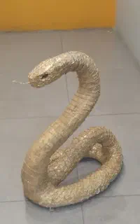 مجسمه توافقی