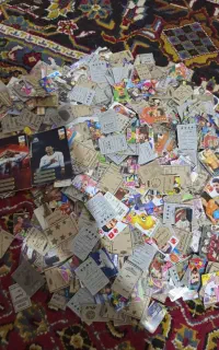 35003کارتک ارزان ببر