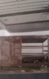 محافظ موتور کولر