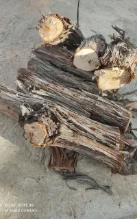 چوب خشک برای سوزاندن