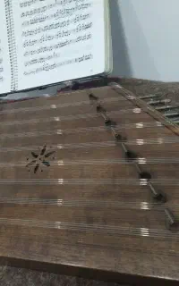 سنتور حرفه ای راسخ