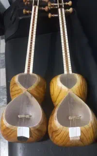 تار الگو یحیی