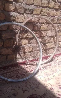 رینگ دوچرخه ی 29
