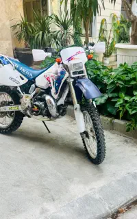 Honda crm 250