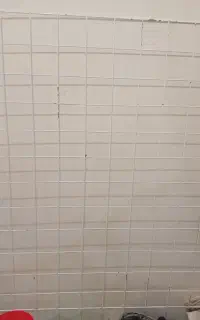 رگال توری