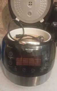 همه کاره دلمونتی