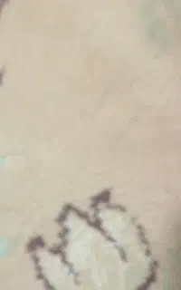 گجکار