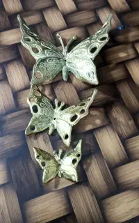 پروانه برنجی