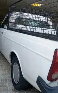 وانت کرایه ایی