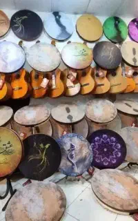 دف شاهو کد ۳۰۳ (اقساطی)