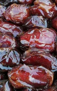خرمای کبکاب دشتستان