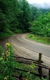 راهنمایی