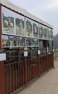 استخدام نیروی ساده و عکاس