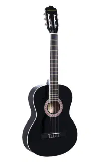 گیتار masterwork