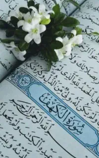 بازگشت و طال
