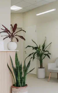 استخدام منشی و دستیار پزشک تازیان پایین