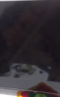 الیدی ایوولی