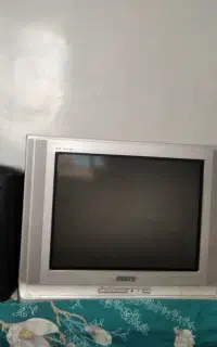 تلویزیون