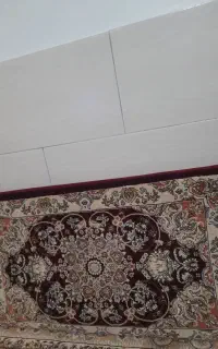 ۳جف پشتی