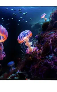 تلویزیون ۷۰اینچ اپلاس
