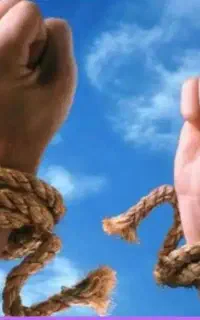 شروع دوباره زندگی