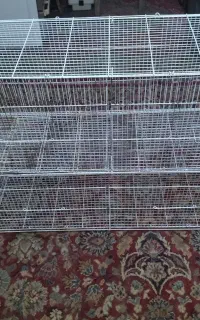 قفس پرنده