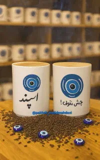 جا اسپندی فقط ۱۸۰ ت