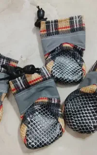 یه سری لوازم سگ یا گربه پت خانگی پت شاپ