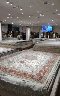اولین نماینده رسمی کاشان در بوشهر