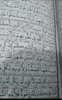 کتاب و کار