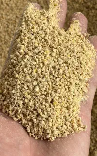 فروش انوع دان مرغی .دان مخلوط.دان تخم گذار.گوشتی